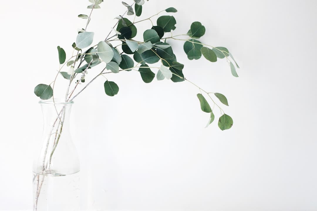 Natural Home Fragrances Essentials
