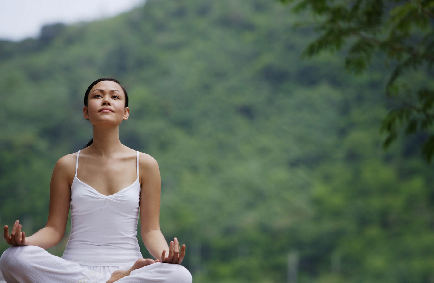 Les Secrets Révélés de l'Aromathérapie: Transformez Votre Bien-Être Aujourd'hui