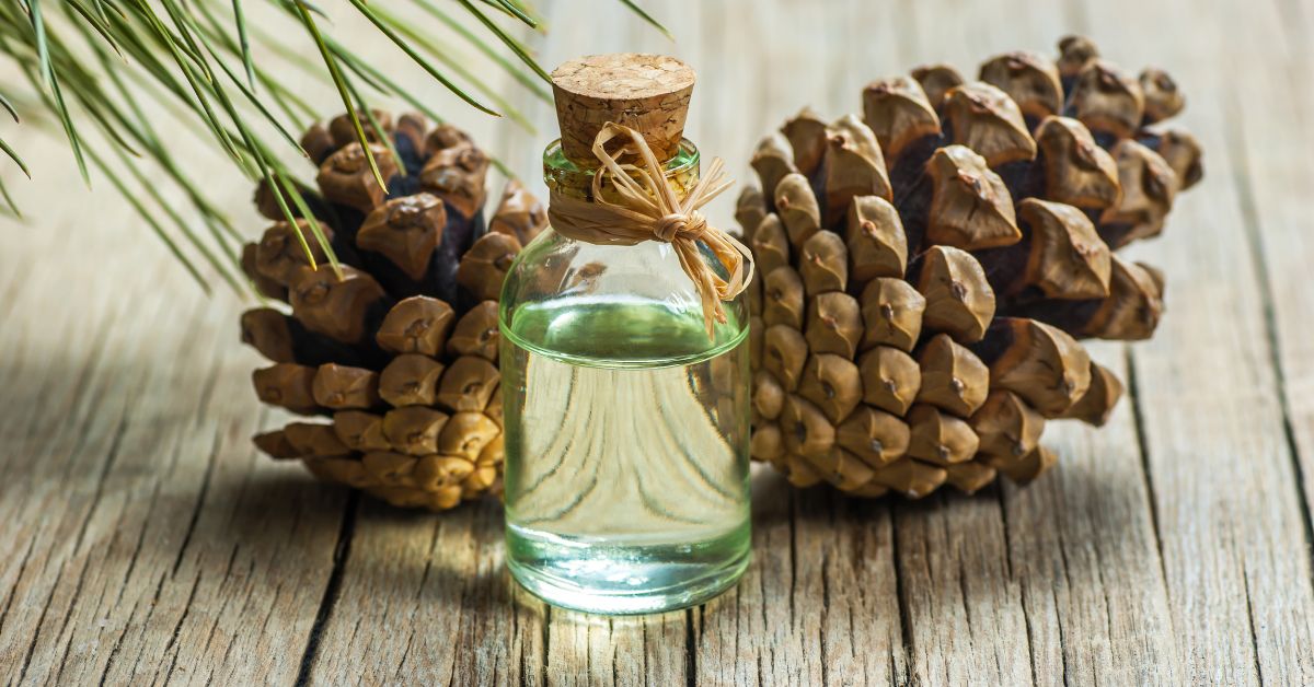 Terpentine Essential Oil