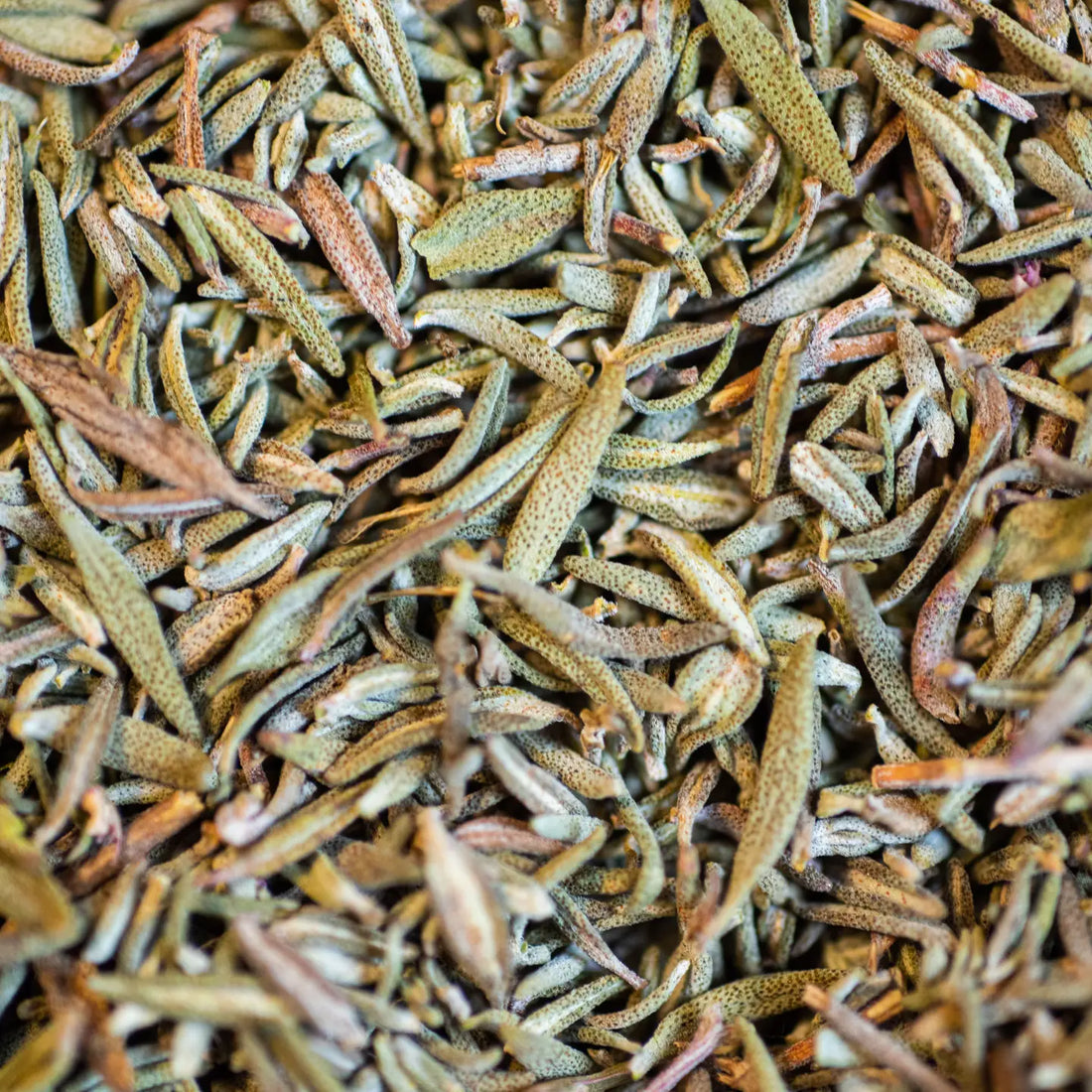 Thyme Essential Oil