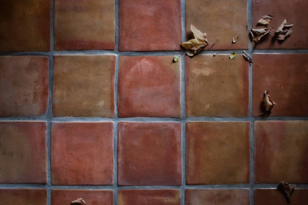 Reasons to Choose 2024