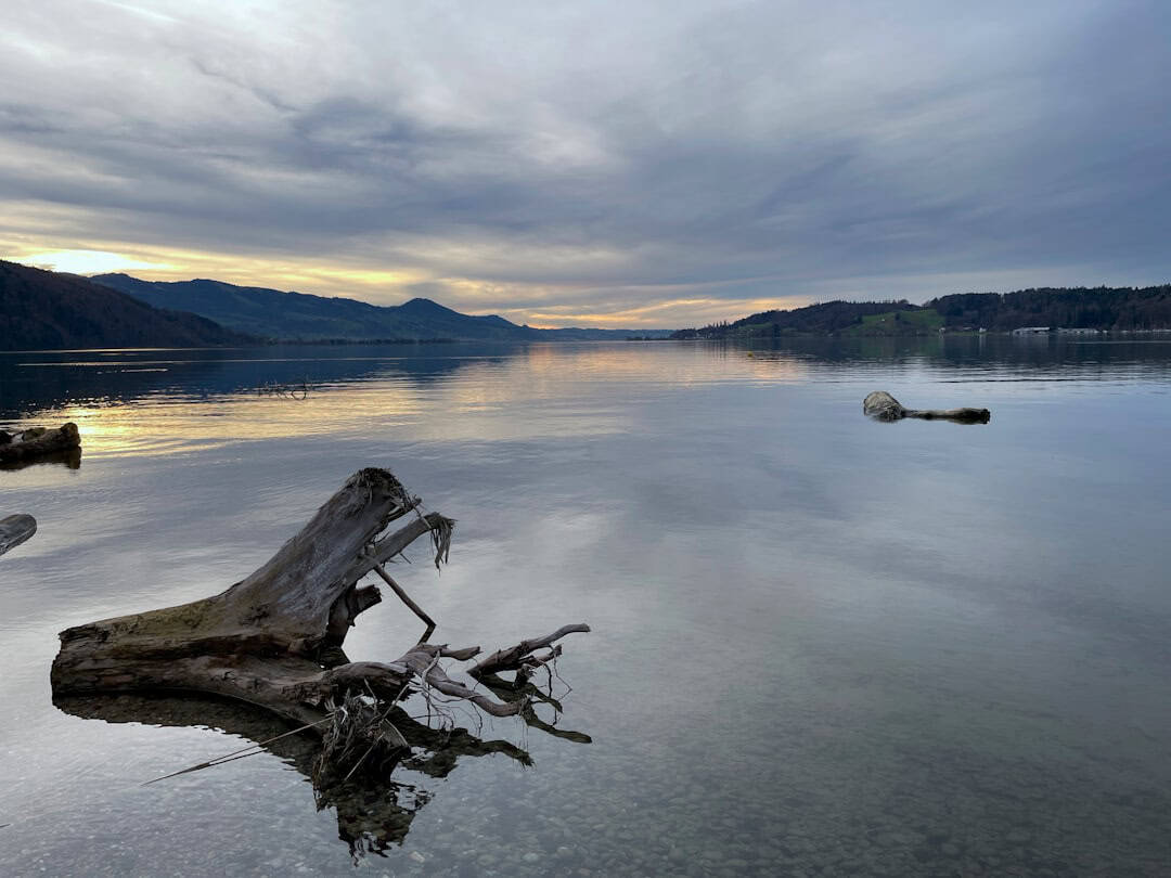 Essential Oils for Relaxation