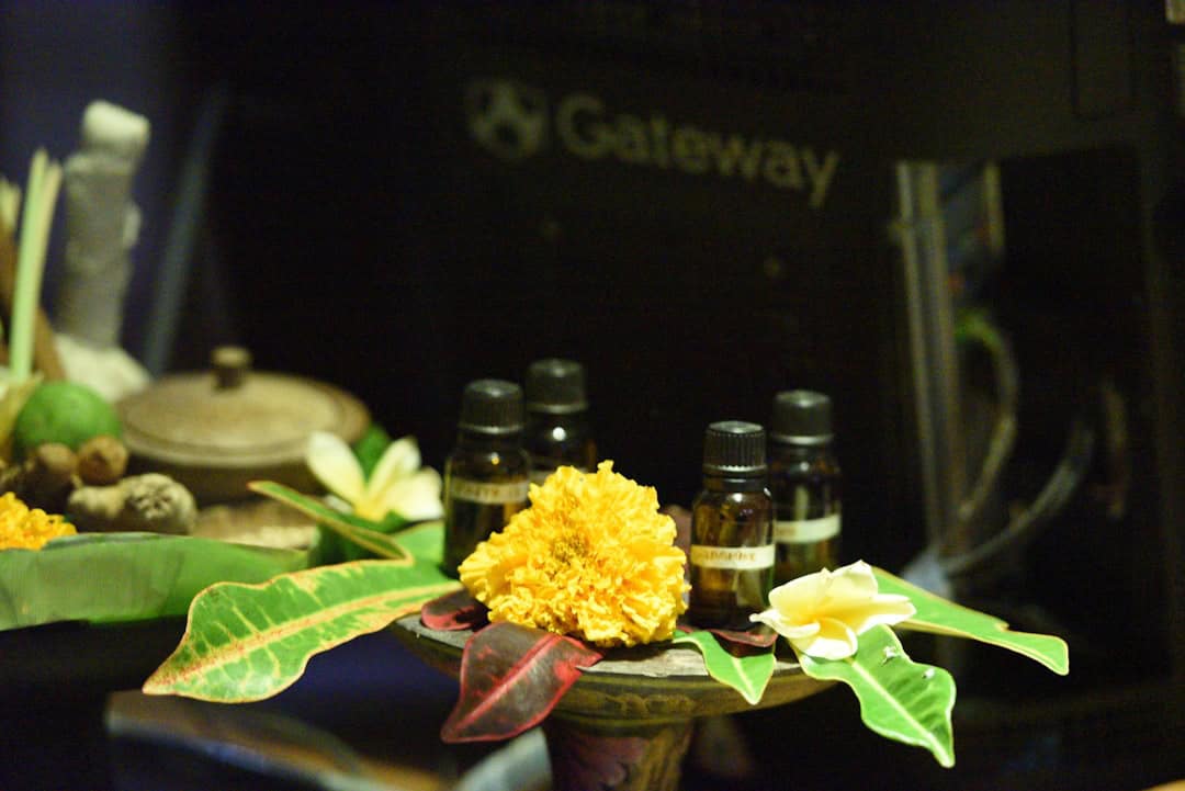 Herbal Medicine Cure Guide