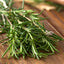 Rosemary Essential Oil Benefits