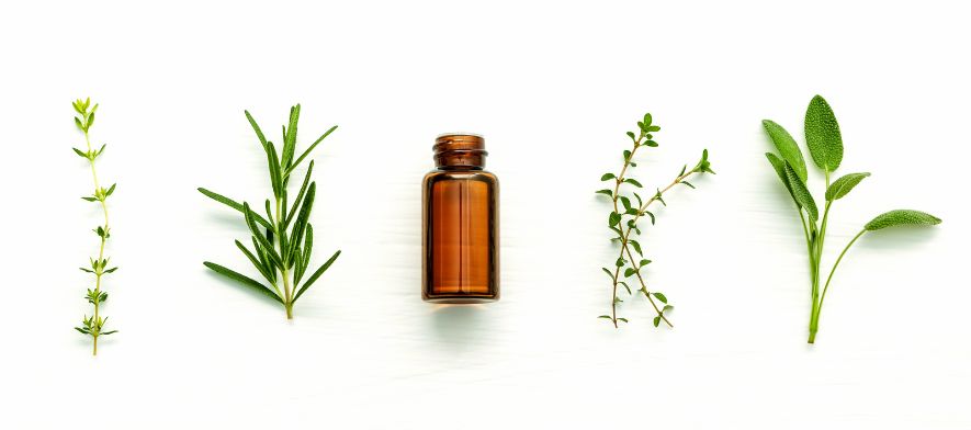 Pine Essential Oil