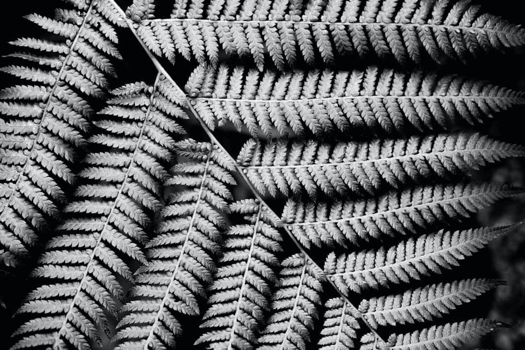 Meditation Techniques for Beginners