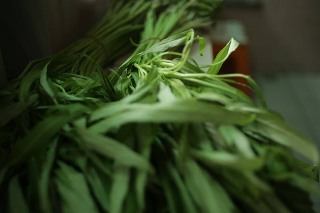 Natural Detox Herbal Infusions