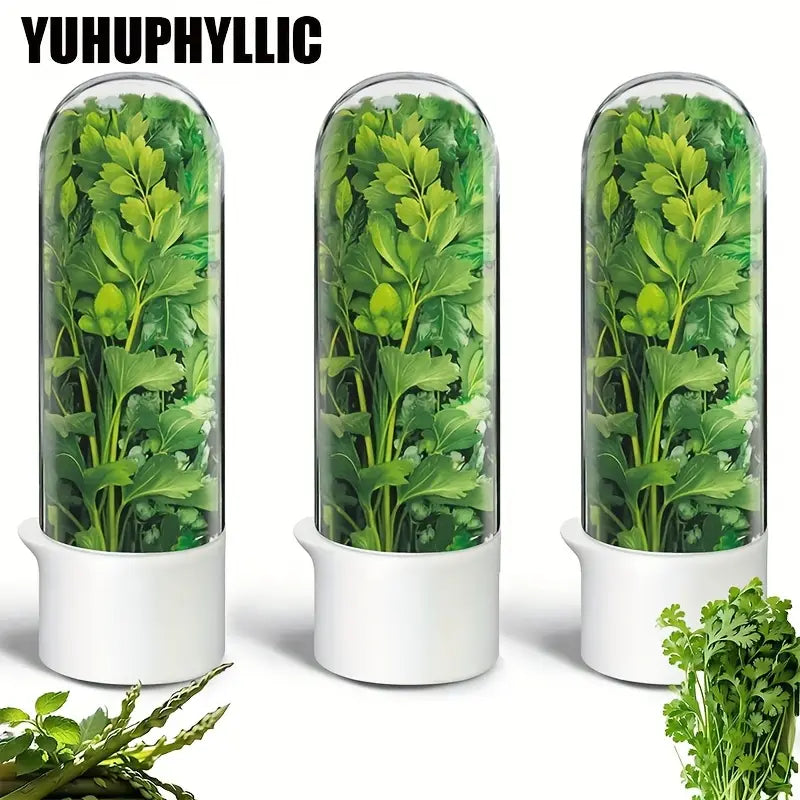 Boîte de Conservation Réfrigérée pour Herbes