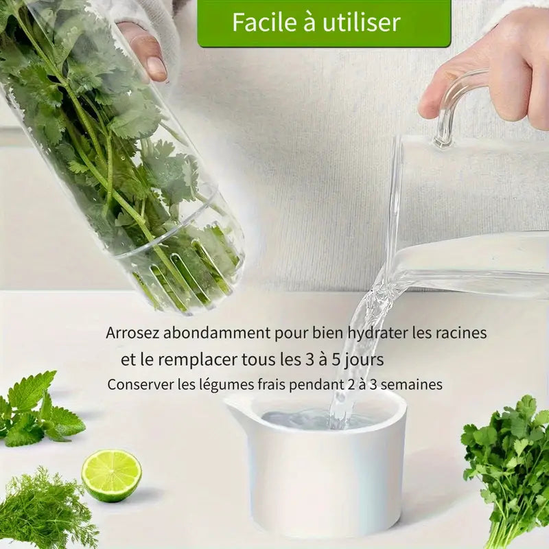 Boîte de Conservation Réfrigérée pour Herbes