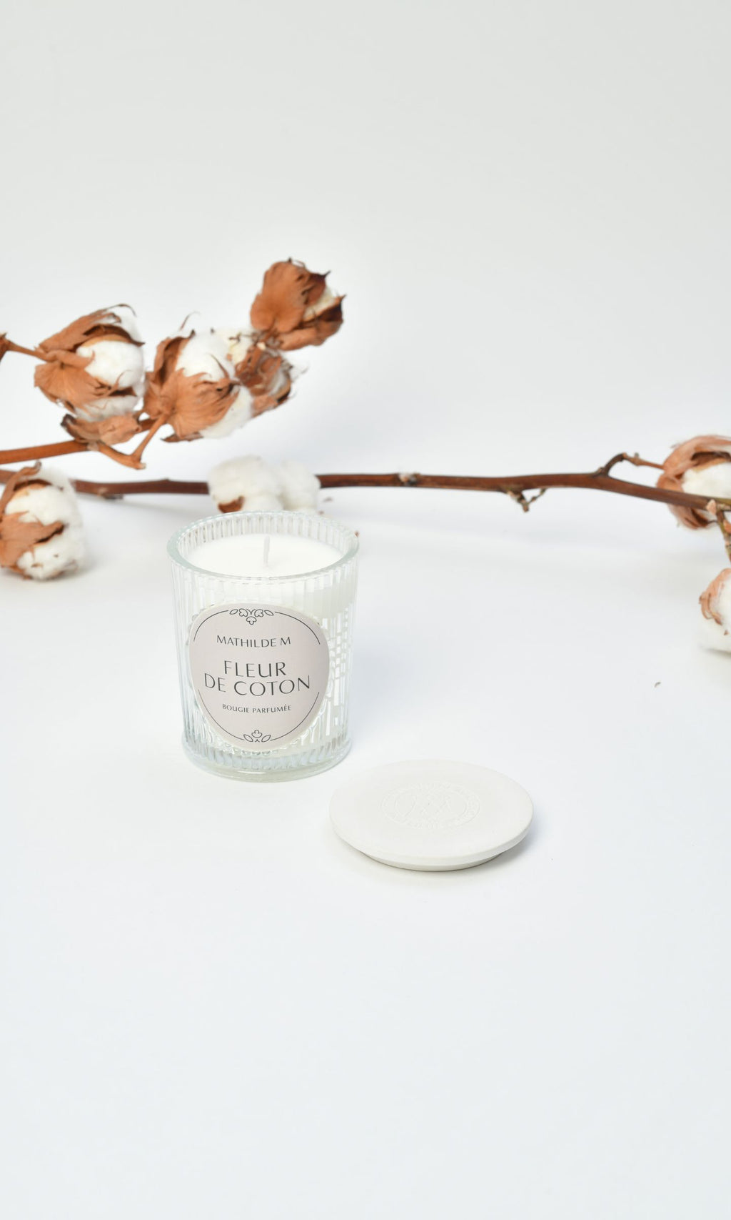 Cotton Escape Box - Cotton Flower by Mathilde M. - Your Refuge of Softness and Serenity