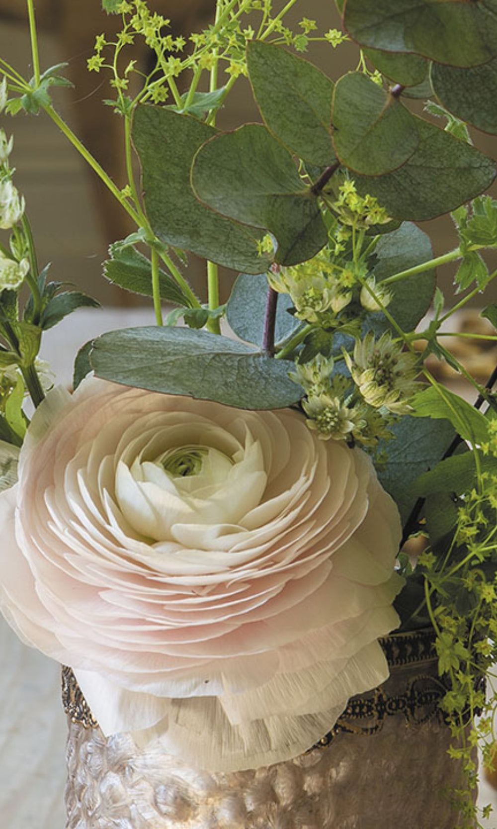 Elegant Rose Room Perfume 100ml - Mathilde M - Refined Floral Essence