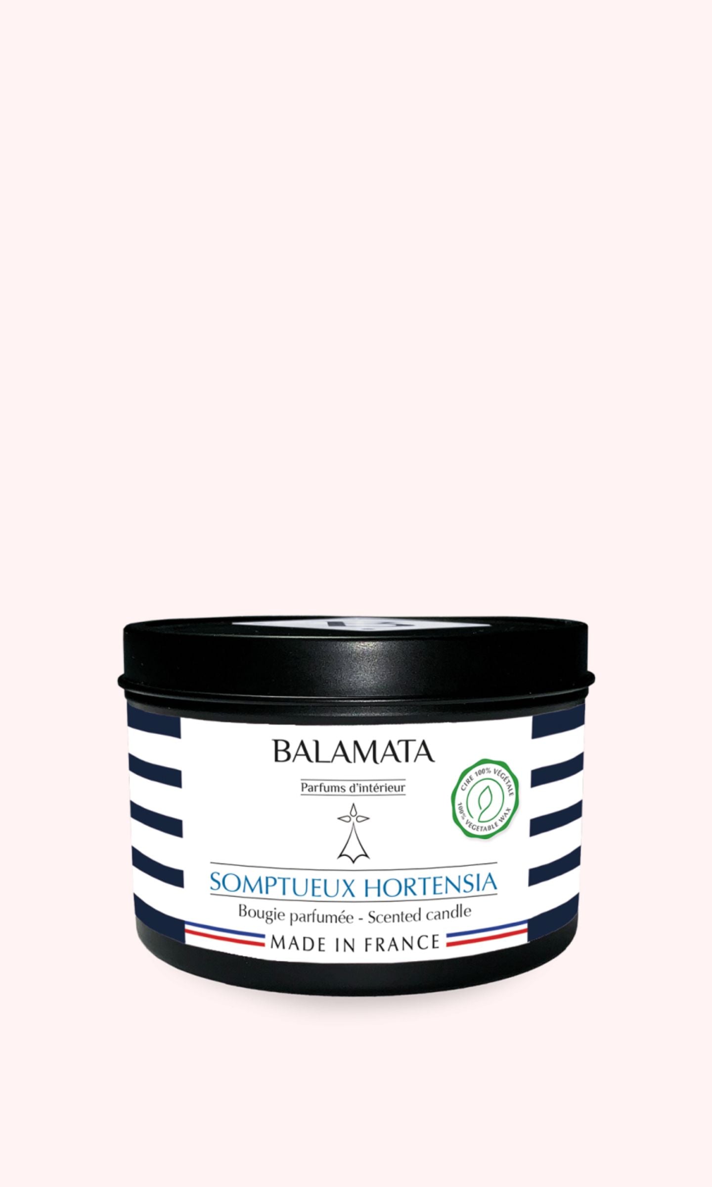 Prächtige Hortensien-Duftkerze 160 g – Balamata