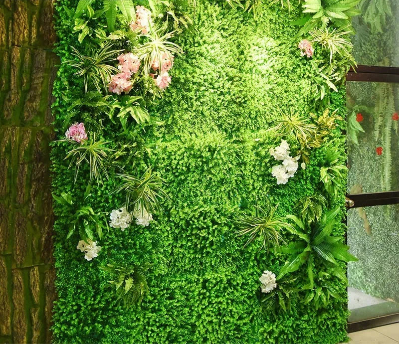 Plantes Murales Décoratives