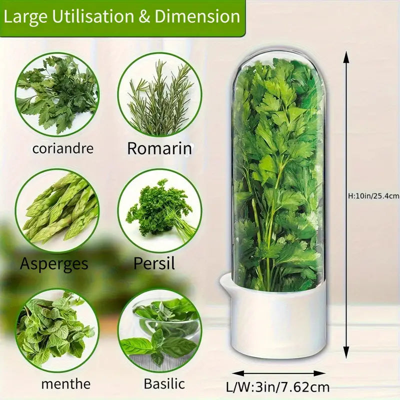 Boîte de Conservation Réfrigérée pour Herbes