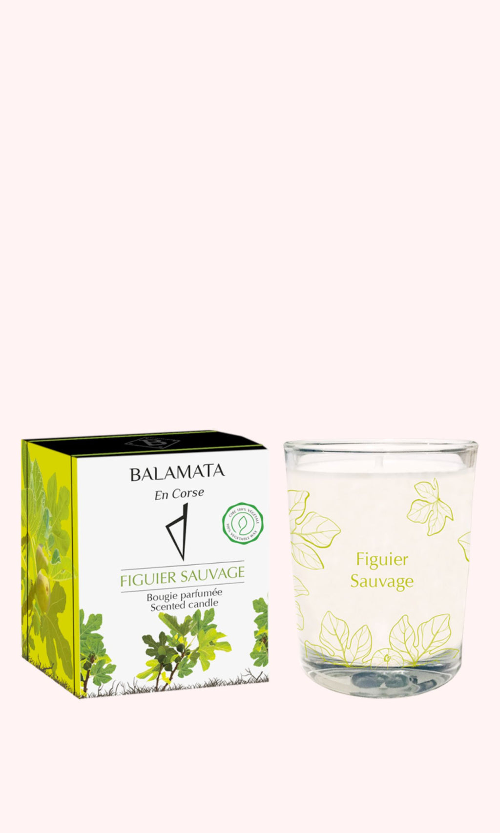 Wilder Feigenbaum-Duftkerze 80 g – Balamata