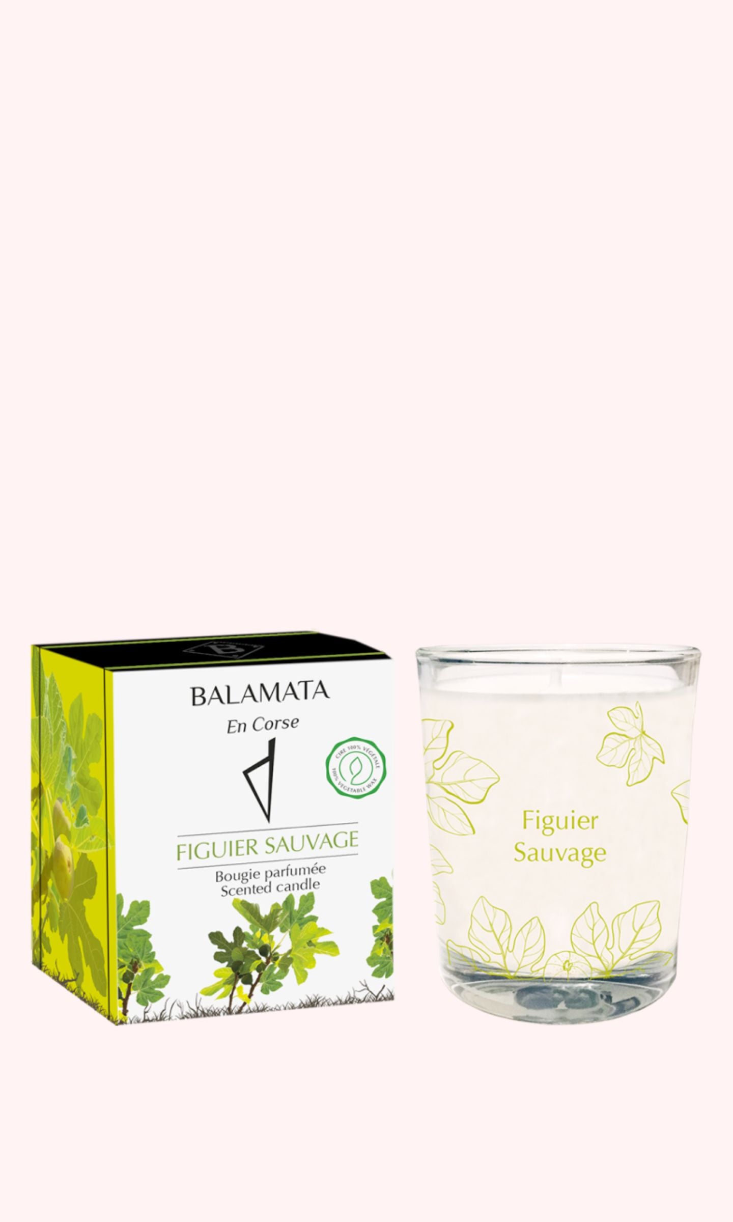 Wilder Feigenbaum-Duftkerze 80 g – Balamata