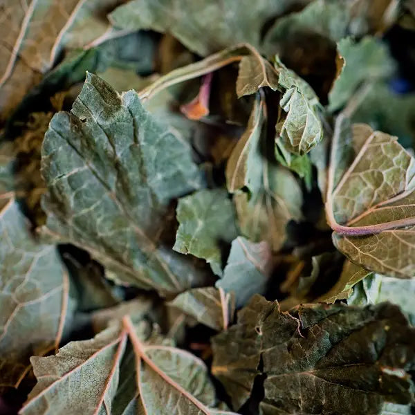 INFUSION CASSIS BIO FEUILLE 30G