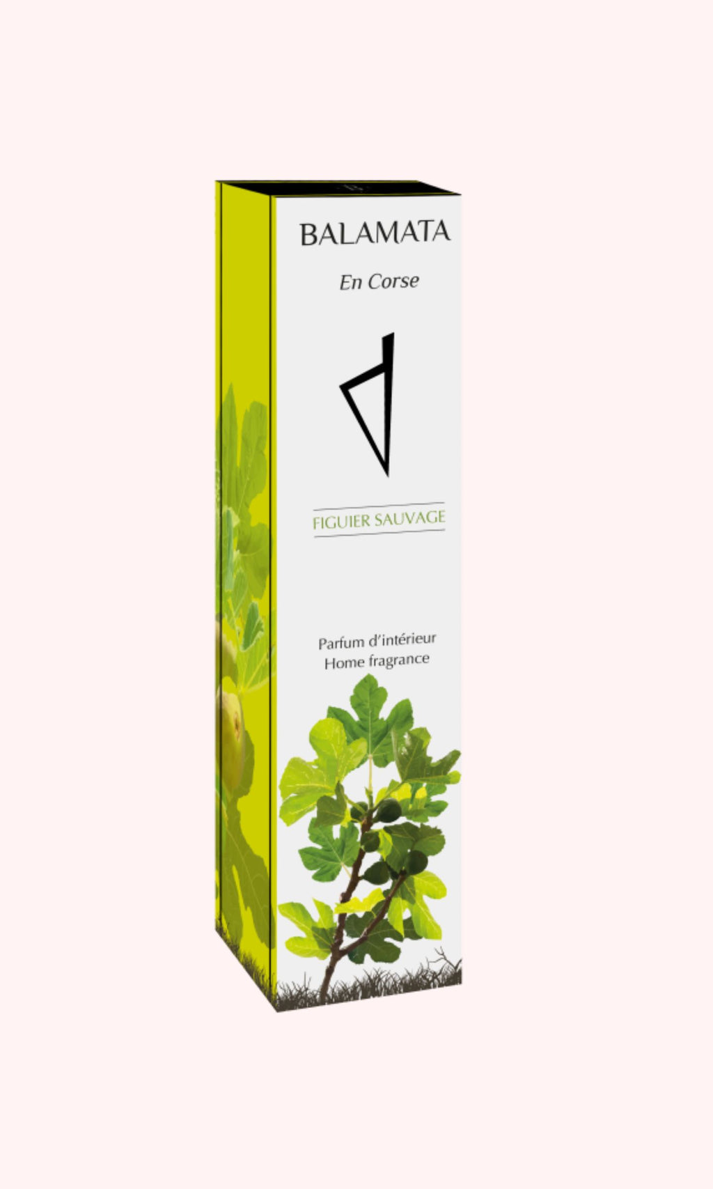 Vaporisateur d'Ambiance Naturel Figuier Sauvage 100ml - Parfums de Grasse - Balamata