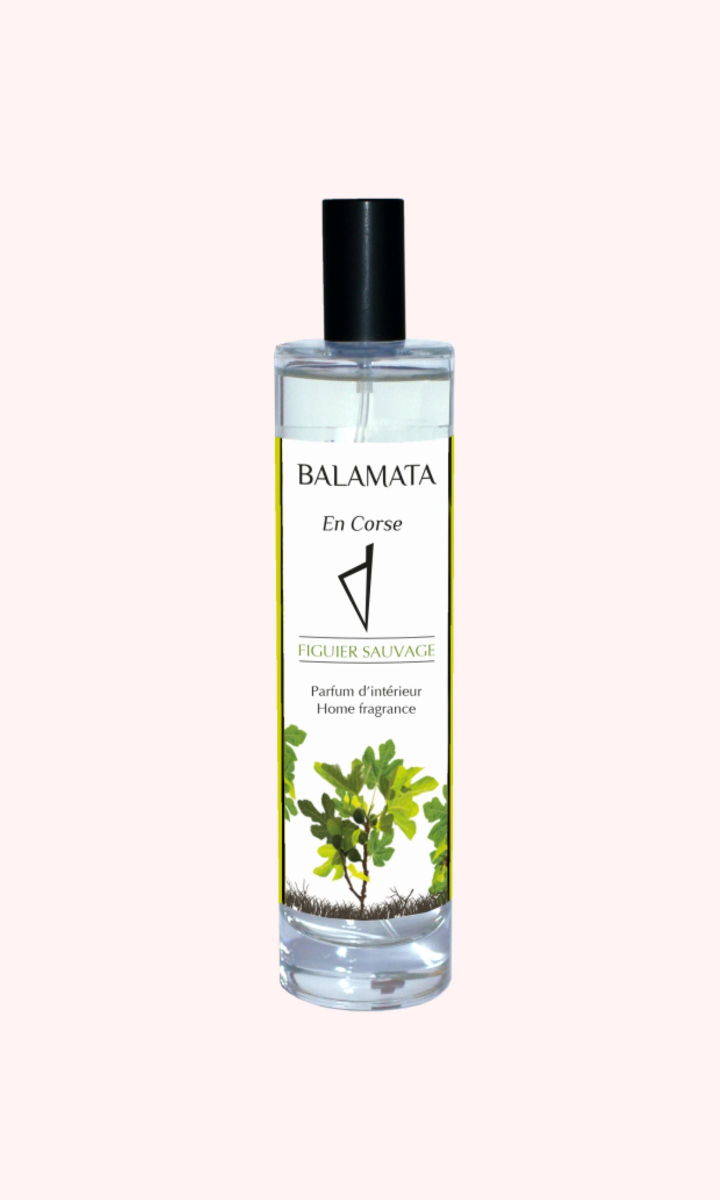 Vaporisateur d'Ambiance Naturel Figuier Sauvage 100ml - Parfums de Grasse - Balamata