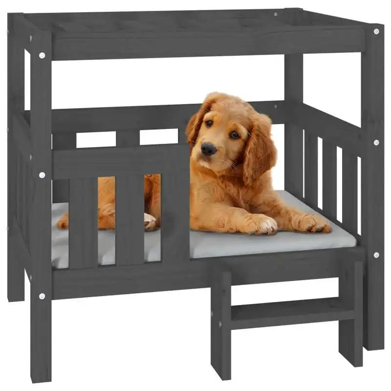 Lit pour Chien en Bois de Pin Solide – Coussin en Coton – Couleur Mélangée