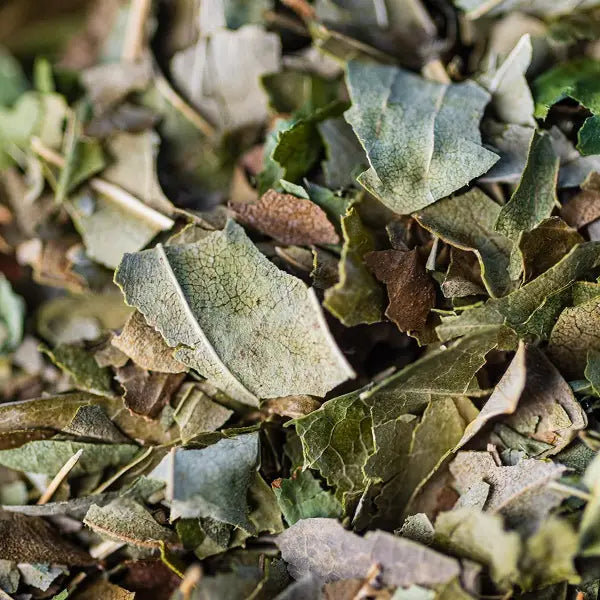 Bio-Eschenblatt-Aufguss 40 g – Ein entgiftender Aufguss, inspiriert von der Mythologie 