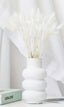 Dried White Lagurus Bouquet - Natural Elegance