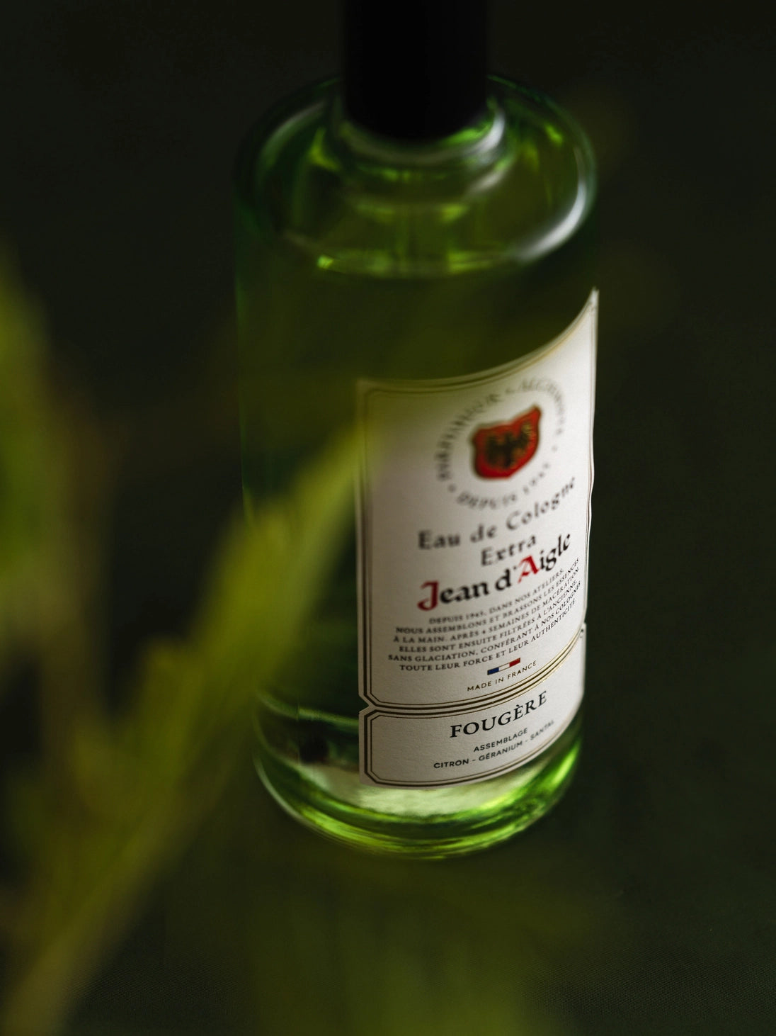 Eau de cologne FOUGÈRE – Le Grand Classique Réinventé - Jean d'Aigle