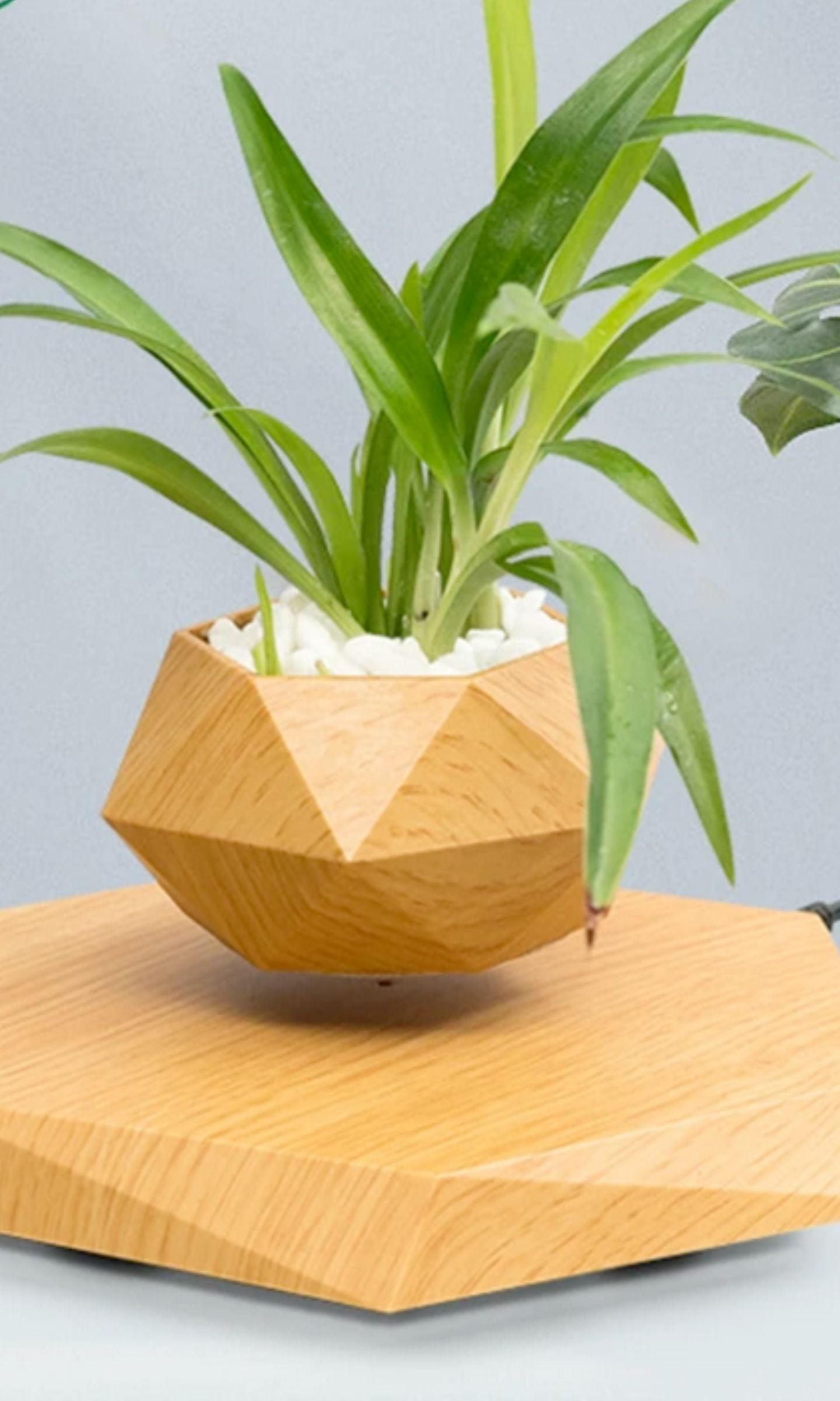 Pot de Fleur Magnétique en Lévitation LED, Ion Négatif, Géométrique