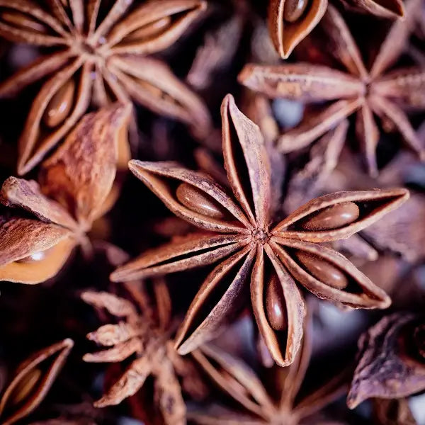 BIO-BADIANE-FRUCHTETEE 40G