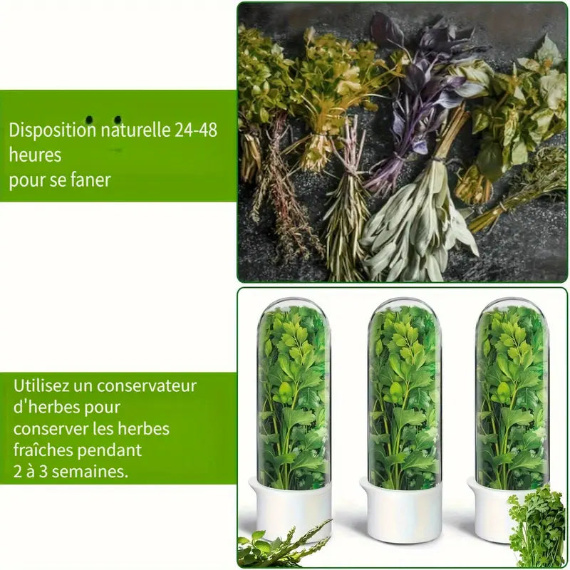 Boîte de Conservation Réfrigérée pour Herbes