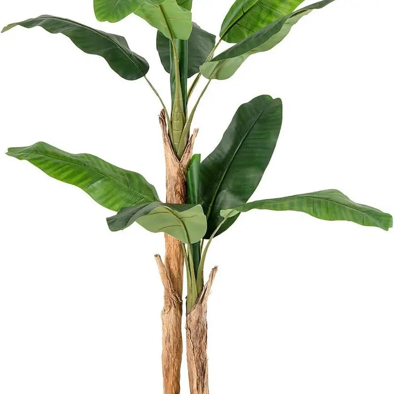 Artificial Banana Plant - Height 165 cm