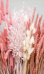 Bunch of Pink Dried Rabbit's Tail Grass