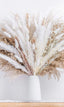 Elegant Black &amp; White Dried Pampas Grass Bouquet