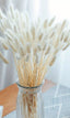 Dried White Lagurus Bouquet - Natural Elegance