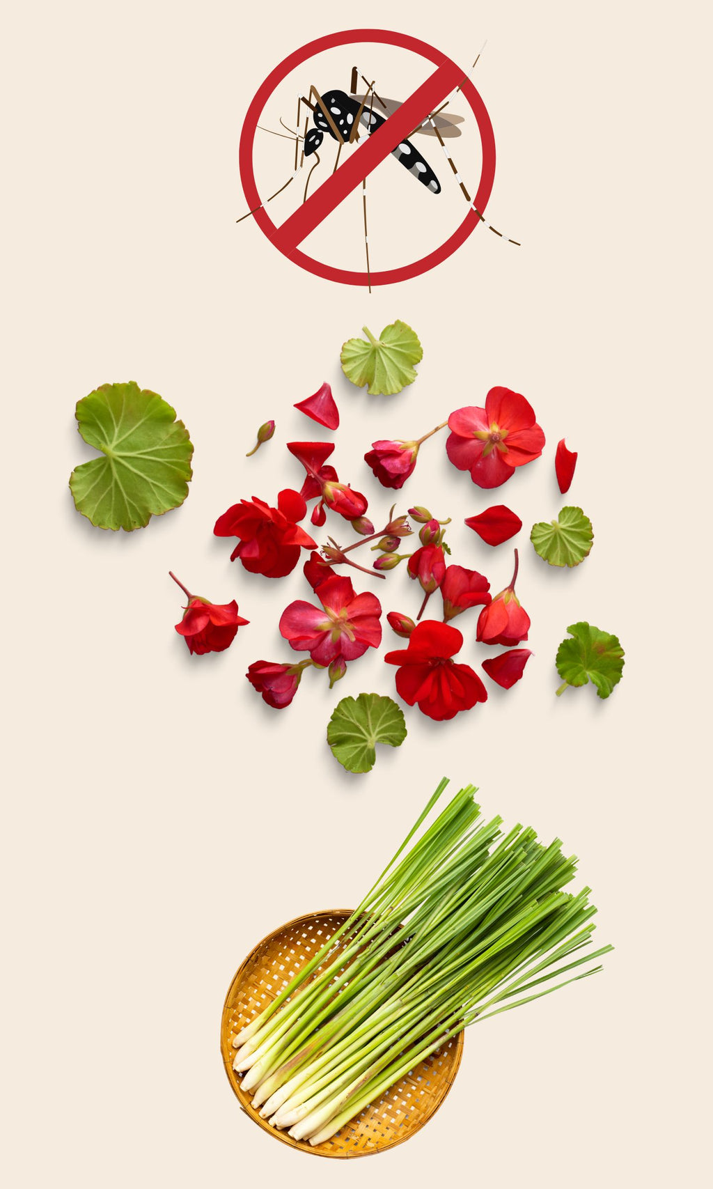 Vaporisateur Anti-Moustiques Naturel 50ml – Huiles Essentielles de Géranium et de Citronnelle - Avatar Céven'Arômes