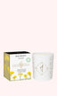 Sublime Immortelle Scented Candle 200g - Balamata