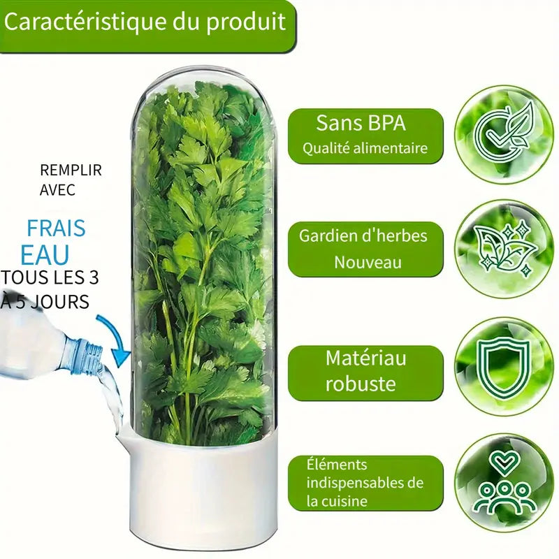Boîte de Conservation Réfrigérée pour Herbes