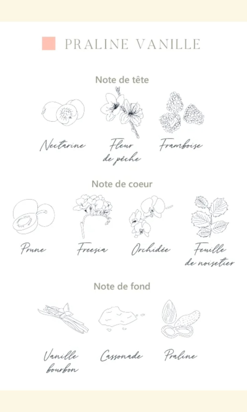 Parfum corporel Praline Vanille Parfums de Grasse- L'atelier C