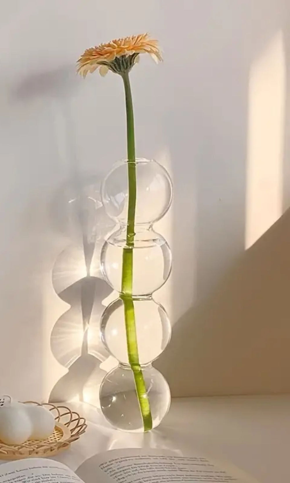 Hydroponische Blumenvase aus Glas