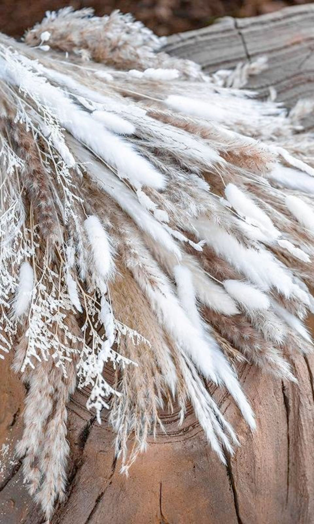 Bouquet de 50 Herbes de Pampa Séchées