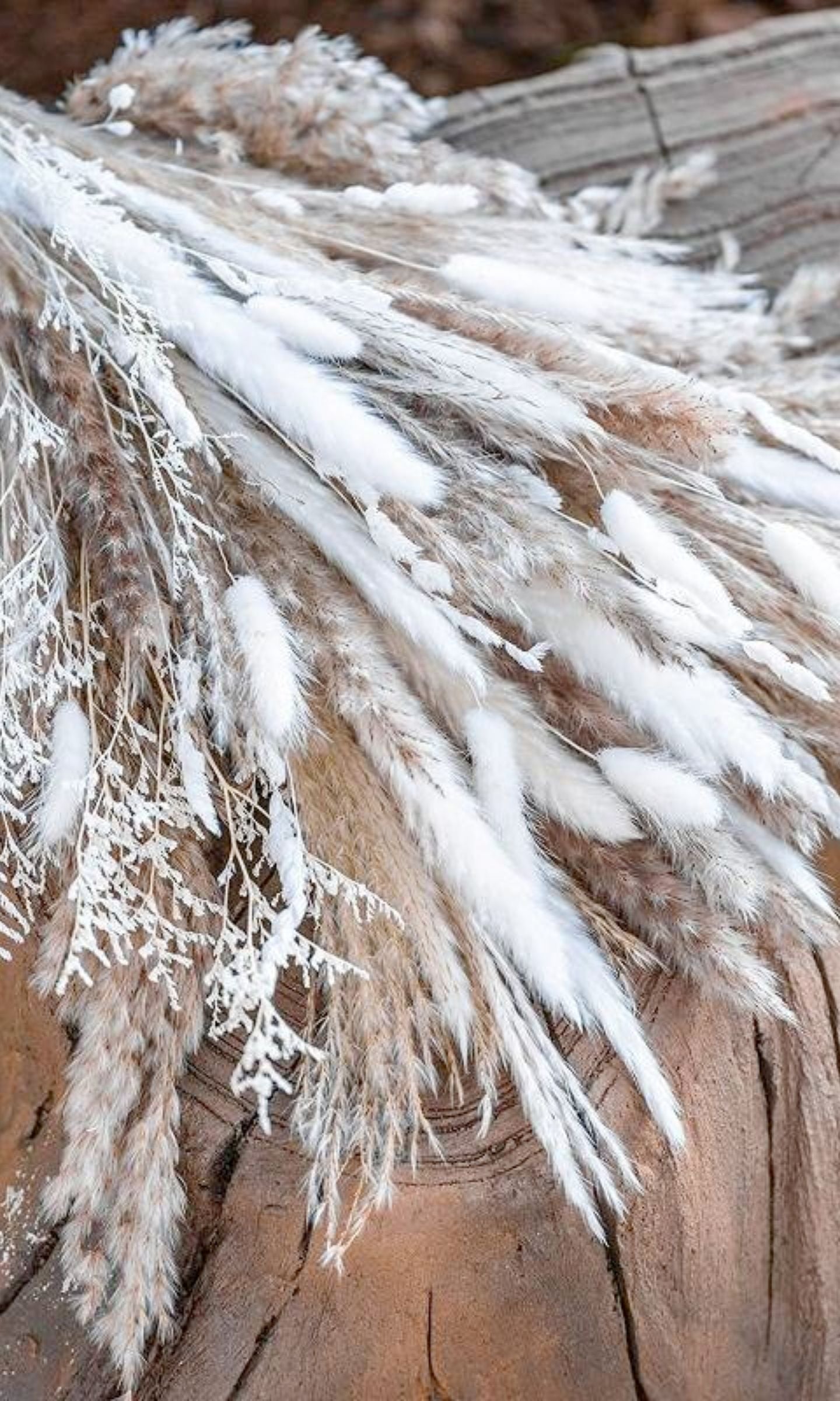Bouquet de 50 Herbes de Pampa Séchées