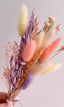 Bunch of Pink Dried Rabbit's Tail Grass