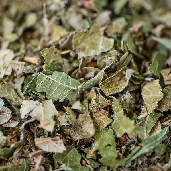 INFUSION RONCE BIO FEUILLE 40 g – Comptoir d’Herboristerie