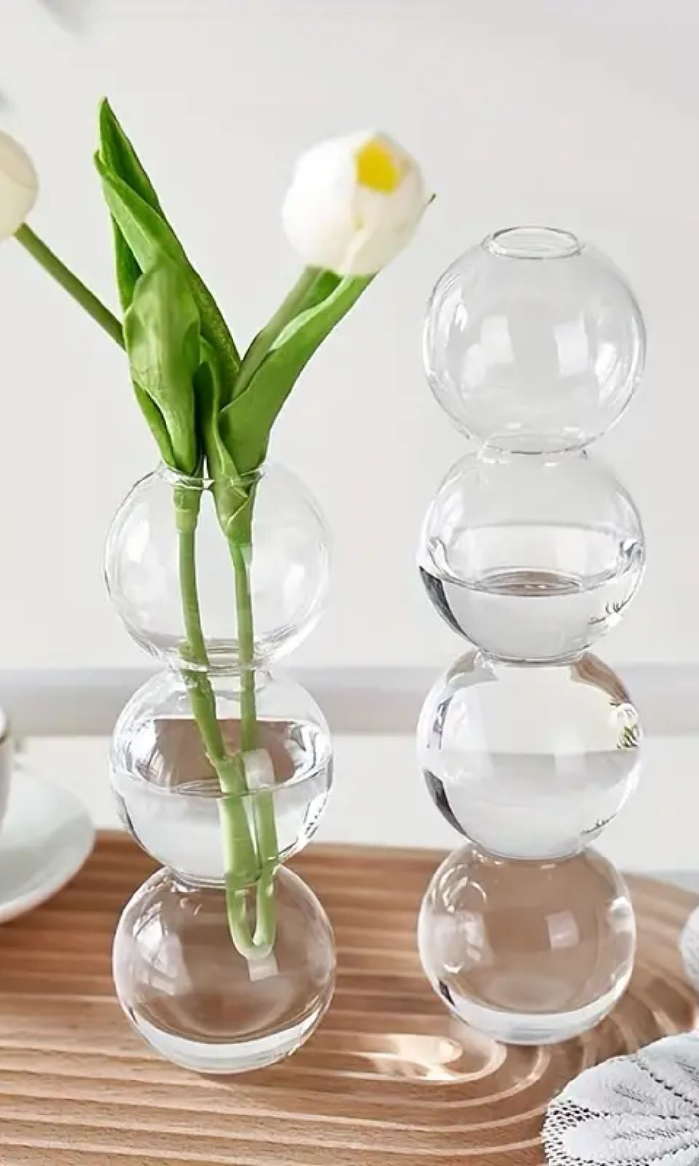 Vase Floral Hydroponique en Verre