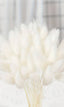 Dried White Lagurus Bouquet - Natural Elegance