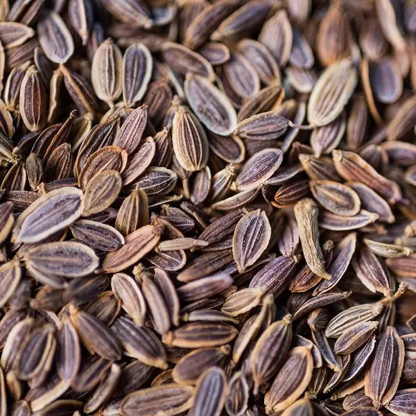 BIO-DILLSAMEN-INFUSION 40G