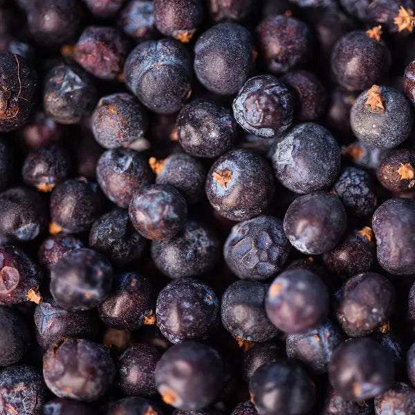 BIO WACHOLDERBEEREN-INFUSION 50G