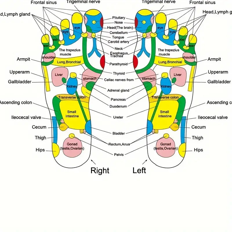 Tapis de Massage Relaxant pour les Pieds – Pierre de Réflexologie