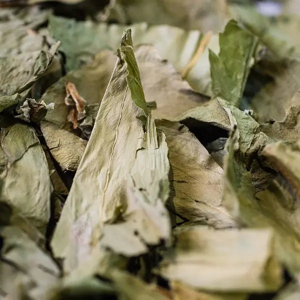 ORGANIC WILD GARLIC INFUSION AERIAL PART 40G