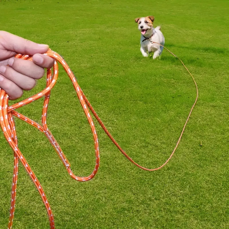 Laisse Longue Réfléchissante – Pour Chien Petit, Moyen ou Grand